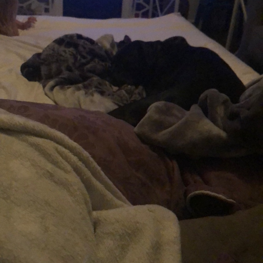 Meet your Posher, Lindsey